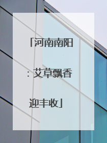 河南南阳：艾草飘香迎丰收