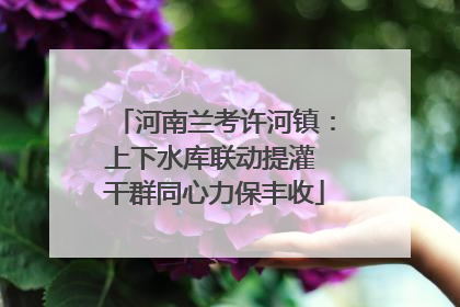 河南兰考许河镇：上下水库联动提灌 干群同心力保丰收