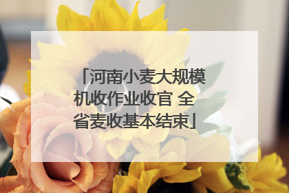 河南小麦大规模机收作业收官 全省麦收基本结束