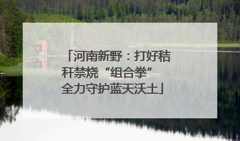 河南新野：打好秸秆禁烧“组合拳” 全力守护蓝天沃土