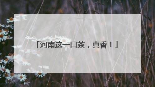 河南这一口茶，真香！