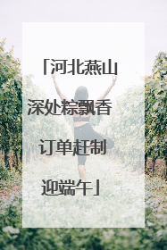 河北燕山深处粽飘香 订单赶制迎端午