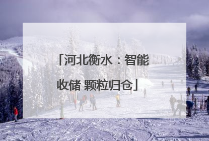 河北衡水：智能收储 颗粒归仓