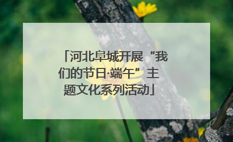 河北阜城开展“我们的节日·端午”主题文化系列活动