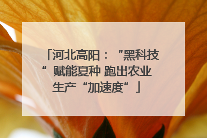河北高阳：“黑科技”赋能夏种 跑出农业生产“加速度”