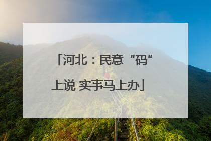 河北：民意“码”上说 实事马上办