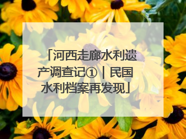 河西走廊水利遗产调查记①｜民国水利档案再发现