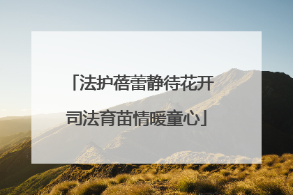 法护蓓蕾静待花开 司法育苗情暖童心