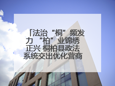 法治“桐”频发力 “柏”业锦绣正兴 桐柏县政法系统交出优化营商环境“成绩单”