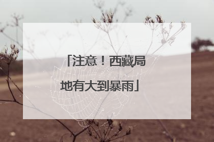 注意！西藏局地有大到暴雨