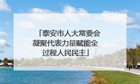 泰安市人大常委会凝聚代表力量赋能全过程人民民主