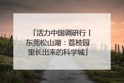 活力中国调研行丨东莞松山湖：荔枝园里长出来的科学城