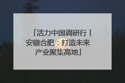 活力中国调研行丨安徽合肥：打造未来产业聚集高地