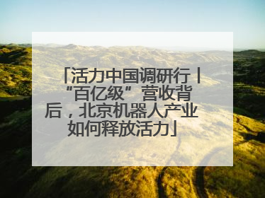 活力中国调研行丨 “百亿级”营收背后，北京机器人产业如何释放活力