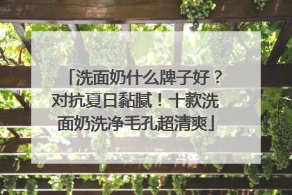 洗面奶什么牌子好？对抗夏日黏腻！十款洗面奶洗净毛孔超清爽
