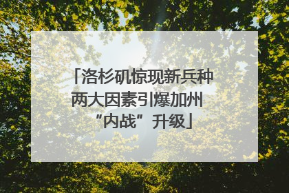 洛杉矶惊现新兵种 两大因素引爆加州“内战”升级
