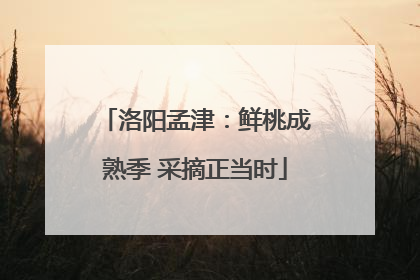 洛阳孟津：鲜桃成熟季 采摘正当时