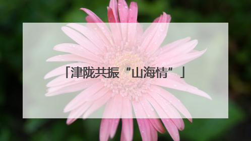 津陇共振“山海情”