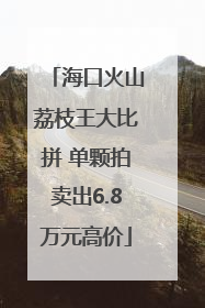 海口火山荔枝王大比拼 单颗拍卖出6.8万元高价