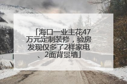 海口一业主花47万元定制装修，验房发现仅多了2样家电、2面背景墙