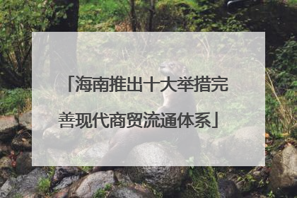 海南推出十大举措完善现代商贸流通体系