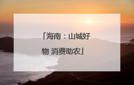 海南：山城好物 消费助农