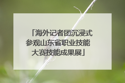海外记者团沉浸式参观山东省职业技能大赛技能成果展