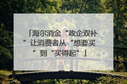 海尔消金“政企双补”让消费者从“想要买”到“买得起”