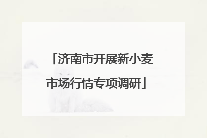济南市开展新小麦市场行情专项调研