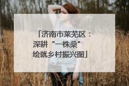 济南市莱芜区：深耕“一株桑” 绘就乡村振兴图