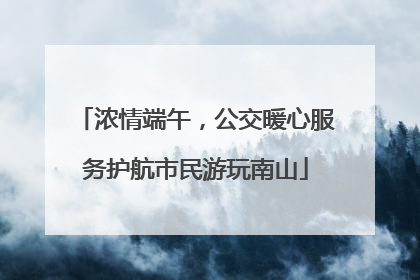 浓情端午，公交暖心服务护航市民游玩南山