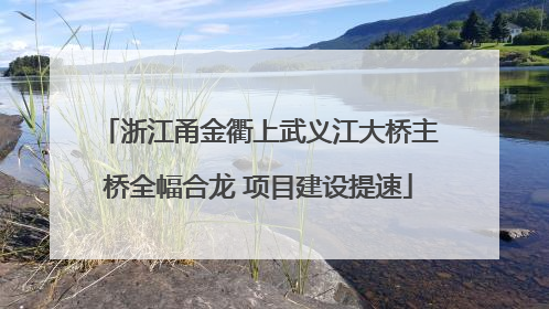 浙江甬金衢上武义江大桥主桥全幅合龙 项目建设提速
