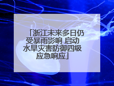 浙江未来多日仍受暴雨影响 启动水旱灾害防御四级应急响应