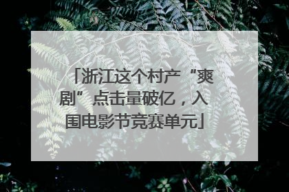 浙江这个村产“爽剧”点击量破亿，入围电影节竞赛单元