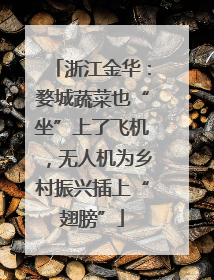 浙江金华：婺城蔬菜也“坐”上了飞机，无人机为乡村振兴插上“翅膀”