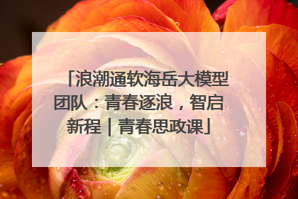浪潮通软海岳大模型团队：青春逐浪，智启新程｜青春思政课