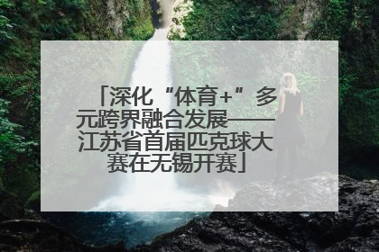 深化“体育+”多元跨界融合发展——江苏省首届匹克球大赛在无锡开赛