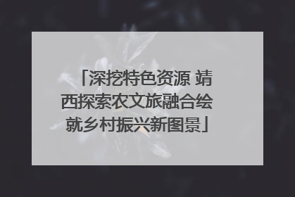 深挖特色资源 靖西探索农文旅融合绘就乡村振兴新图景