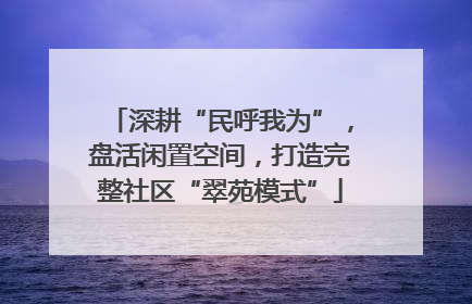 深耕“民呼我为”，盘活闲置空间，打造完整社区“翠苑模式”