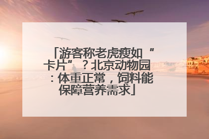 游客称老虎瘦如“卡片”？北京动物园：体重正常，饲料能保障营养需求