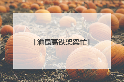 渝昆高铁架梁忙