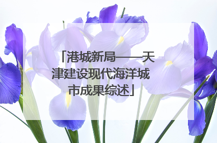 港城新局——天津建设现代海洋城市成果综述