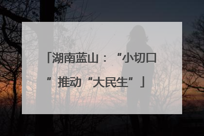 湖南蓝山：“小切口”推动“大民生”