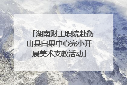 湖南财工职院赴衡山县白果中心完小开展美术支教活动