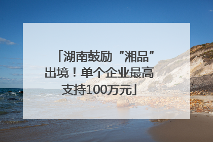 湖南鼓励“湘品”出境！单个企业最高支持100万元