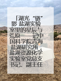 湖光“链”影 盐湖实验室里的星辰与荒原——记中国科学院青海盐湖研究所，盐湖资源化学实验室党总支书记、副主任刘忠