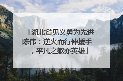 湖北省见义勇为先进陈伟：逆火而行伸援手，平凡之躯亦英雄