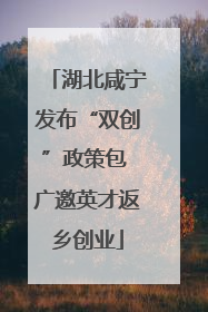 湖北咸宁发布“双创”政策包 广邀英才返乡创业
