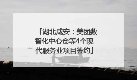 湖北咸安：美团数智化中心仓等4个现代服务业项目签约