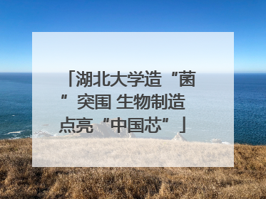 湖北大学造“菌”突围 生物制造点亮“中国芯”